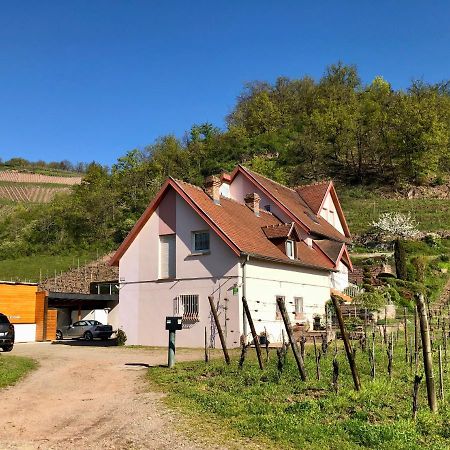 Le Gite Du Sommerberg Niedermorschwihr Экстерьер фото