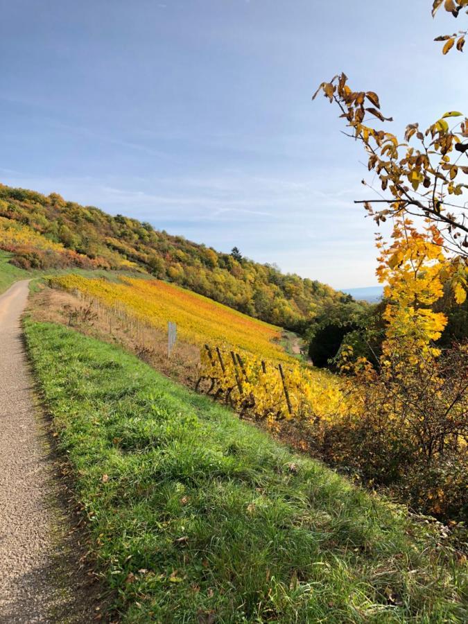 Le Gite Du Sommerberg Niedermorschwihr Экстерьер фото