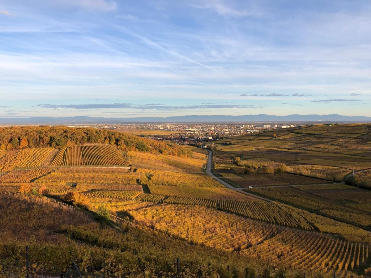 Le Gite Du Sommerberg Niedermorschwihr Экстерьер фото