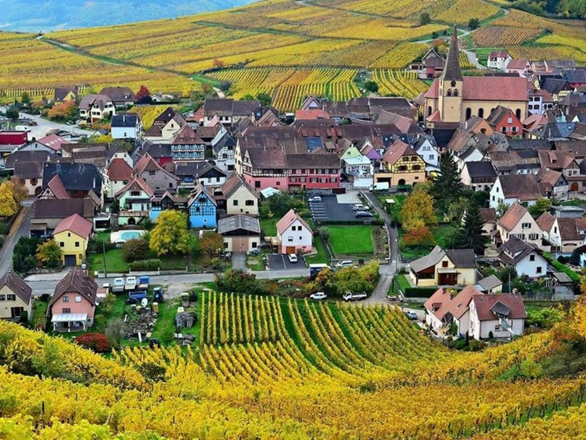 Le Gite Du Sommerberg Niedermorschwihr Экстерьер фото